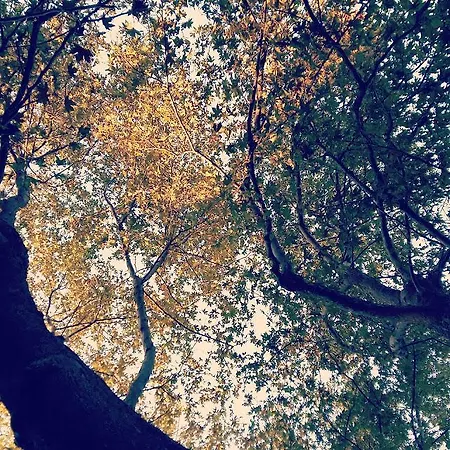 Ξενοδοχείο Olympos Πλαταμώνας